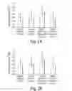 Fig. 06 - COMPOSITIONS AND METHODS FOR ASSESSING CARDIOVASCULAR DISEASE