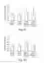 Fig. 07 - COMPOSITIONS AND METHODS FOR ASSESSING CARDIOVASCULAR DISEASE