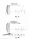Fig. 11 - COMPOSITIONS AND METHODS FOR ASSESSING CARDIOVASCULAR DISEASE
