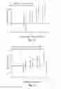 Fig. 23 - COMPOSITIONS AND METHODS FOR ASSESSING CARDIOVASCULAR DISEASE