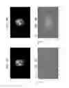 Fig. 09 - Magnetic resonance imaging apparatus and method of operating the same