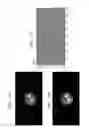 Fig. 12 - Magnetic resonance imaging apparatus and method of operating the same