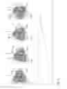 Fig. 06 - Method for determining a position of a receiver and positioning system for a receiver