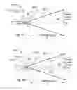 Fig. 07 - Friend or foe identification system and method