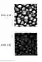 Fig. 22 - Antireflective article, image display device, and production mold for antireflective article