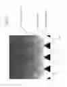 Fig. 23 - Illumination device and display device