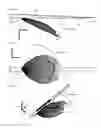 Fig. 13 - Illumination device having a tapered light guide