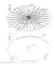 Fig. 37 - Illumination device having a tapered light guide