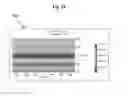 Fig. 11 - Air cavity LED backlight unit