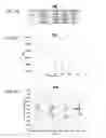 Fig. 36 - Multiple LP-mode fiber designs for mode-division multiplexing