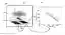 Fig. 01 - Plasmonic wavelength selective switch