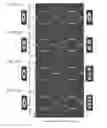 Fig. 18 - Inter-mode light switch