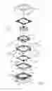 Fig. 08 - Apparatus having a spring plate connecting with 3D circuit terminals