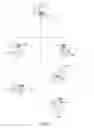 Fig. 06 - Optical apparatus