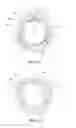 Fig. 08 - Optical apparatus