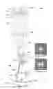 Fig. 19 - Structured illumination microscopy apparatus and method
