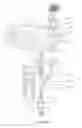 Fig. 33 - Structured illumination microscopy apparatus and method