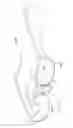 Fig. 02 - Interchangeable frames for eyeglasses