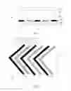 Fig. 02 - LIQUID CRYSTAL DISPLAY PANEL AND MANUFACTURING METHOD THEREOF