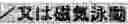 Fig. 28 - RECORDING MEDIUM AND IMAGE RECORDING SET