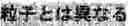 Fig. 29 - RECORDING MEDIUM AND IMAGE RECORDING SET