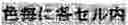 Fig. 33 - RECORDING MEDIUM AND IMAGE RECORDING SET
