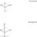 Fig. 02 - Lithographic printing plate precusor