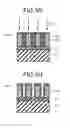 Fig. 09 - Pattern forming method