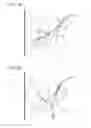 Fig. 08 - DEVELOPING APPARATUS