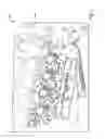 Fig. 02 - Image forming apparatus