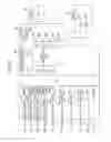 Fig. 06 - Image forming apparatus and sheet accommodating device