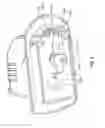 Fig. 05 - HVAC actuator with position indicator