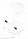 Fig. 09 - Three-Dimensional Gesture Remote Control