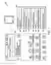 Fig. 02 - Information interchange via selective assembly using single gesture