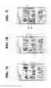 Fig. 12 - Mobile terminal and method for controlling the same