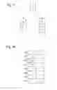 Fig. 09 - Data processing apparatus, data processing method and program recording medium