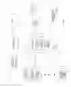 Fig. 02 - Print service identifier