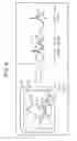 Fig. 10 - Sound effect adjusting apparatus, method, and program