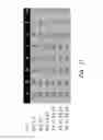 Fig. 11 - High performance interconnect physical layer