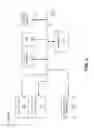 Fig. 04 - Selection of an image or images most representative of a set of images