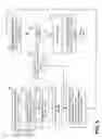 Fig. 06 - Selection of an image or images most representative of a set of images