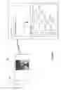 Fig. 05 - Presenting image search results
