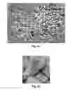 Fig. 07 - Processing ambiguous search requests in a geographic information system