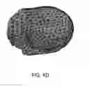 Fig. 08 - Ontological subjects of a universe and knowledge processing thereof