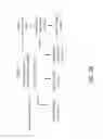 Fig. 20 - Ontological subjects of a universe and knowledge processing thereof