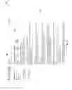 Fig. 04 - DISPLAYING MULTIPLE SPELLING SUGGESTIONS