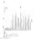 Fig. 07 - DISPLAYING MULTIPLE SPELLING SUGGESTIONS