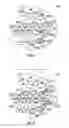 Fig. 05 - Model order reduction technique for discrete fractured network simulation