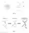 Fig. 06 - STRING GRAPH ASSEMBLY FOR POLYPLOID GENOMES