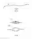 Fig. 07 - STRING GRAPH ASSEMBLY FOR POLYPLOID GENOMES